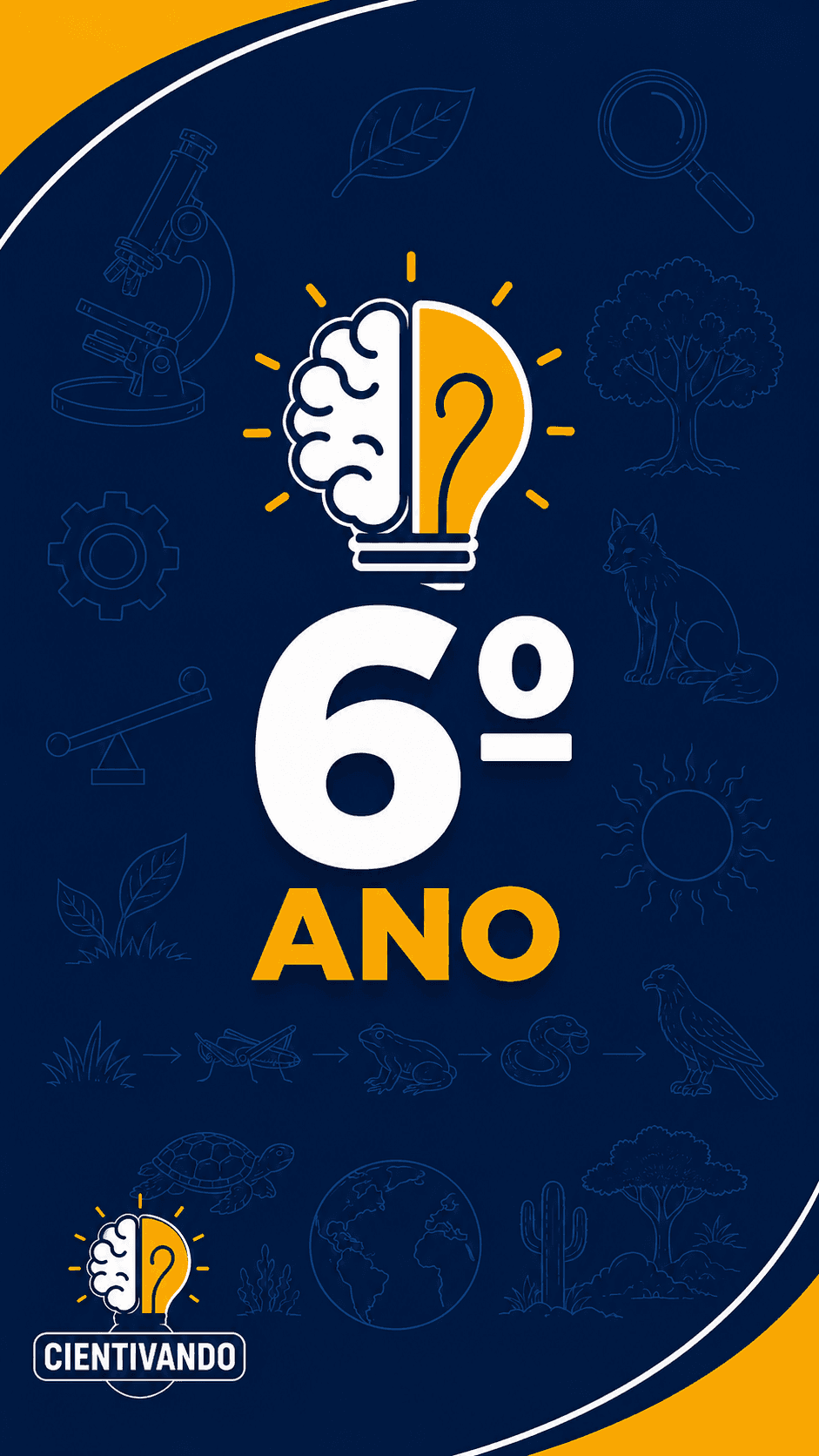 6º Ano
